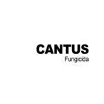 cantus-fungicida_vn-insumos-agricolas